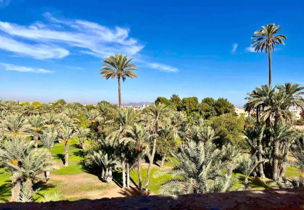 Chez L'Amazigh Riad Marrakesz Zewnętrze zdjęcie